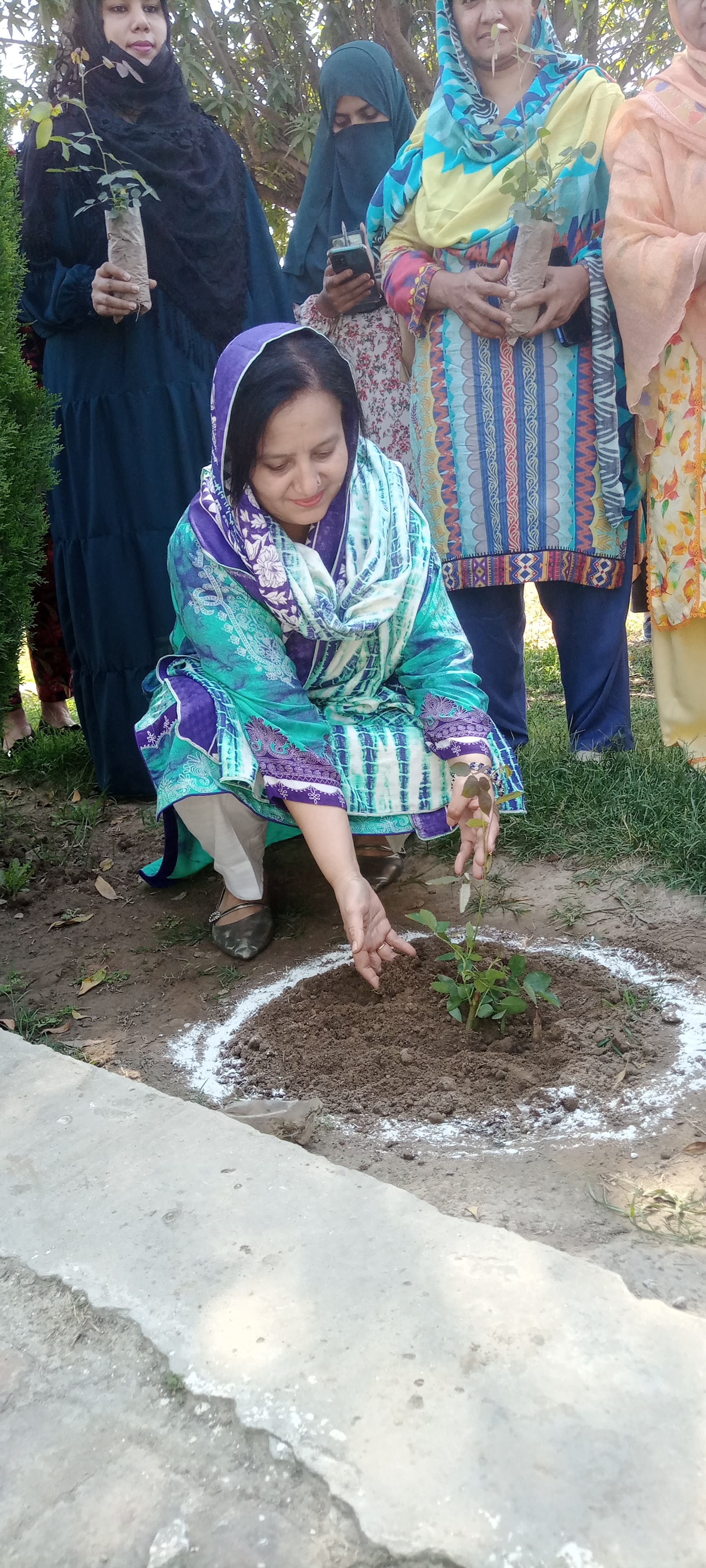 tree Plantation Compaign 